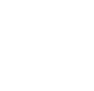 Analog Dayz logo
